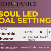 Soul Led Goal Setting Workshop